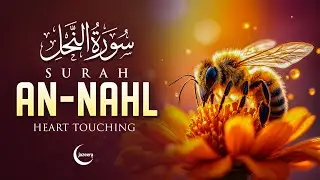 Surah An Nahl (سورة النحل) Best Quran recitation in the world | BEAUTIFUL VOICE #lofiquran