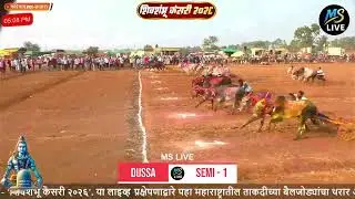 DUSSA SEMI -1 Shivshambhu Kesari 2026 - Grand Open Bullock Cart Competition | MIDC Ground Koregaon, Satara | MSLIVE12
