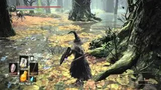 DARK SOULS 3 - Great Swamp Pyromancy Tome location