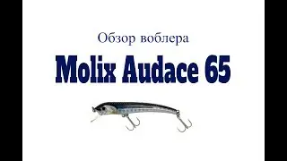 Видеообзор воблера Molix Audace 65 по заказу Fmagazin