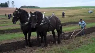IPM 2012 Horse Plowing