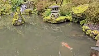 Portland Japanese Garden  Oregon