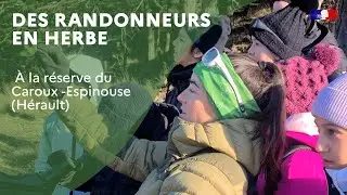 Des randonneurs en herbe à la réserve du Caroux-Espinouse dans l'Hérault