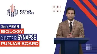 PGC Lectures - Inter Part II - Punjab Board - Biology - Chapter 17 - Synapse