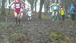 British and Irish Masters Cross Country International 2011