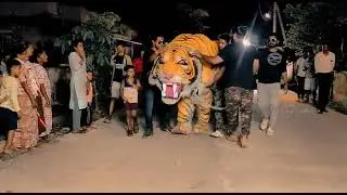 tiger road show program