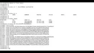 How To Remove Docker Images, and Containers