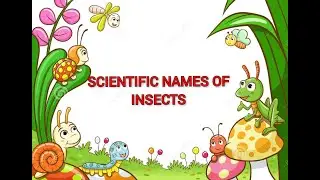 SCIENTIFIC NAMES OF INSECTS || FACTS TRACK #8