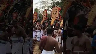 കാട്ടകാമ്പാൽ പൂരം🔥🔥🔥 #pooram #aana #shorts #elephant #poorapremi