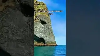 What Is THIS Doing In The Middle Of The Ocean? #shorts #elephantrock #myth #urbanlegend