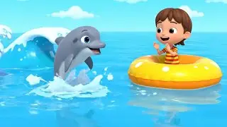 Why Is Baby Dolphin Splashing So Fast | Fun Nursery Rhyme | Kids&rsquo; Song