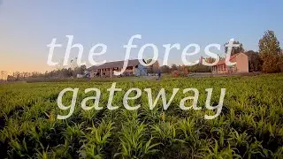 The Forest Gateway - GepRC Cygnet CX3