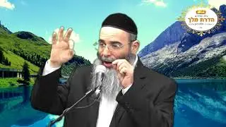 ארמון המלוכה 5  - דיני חציצה בטבילה - טהרת המשפחה הרב אלון כהן שליט