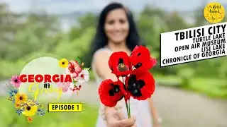 How Good Is Georgia For Travel? | Georgia Vlog Malayalam | Turtle Lake | Chronicle Of Georgia | 159