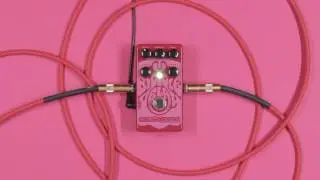 Catalinbread Bicycle Delay