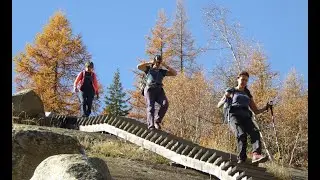 Fieschertal - Burgh&uuml;tte  - Aspi-Titter H&auml;ngebr&uuml;cke - Fiesch (VS) / 02.11.24