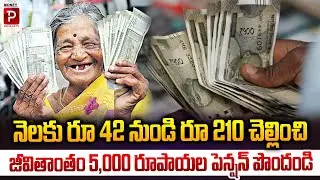 Pay ₹42 to ₹210 per Month and Get ₹5,000 Lifetime Pension | Money Popular TV