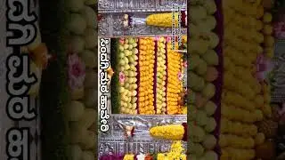 ಶ್ರೀ ಸಿಂದಗಿ ಮಠ ,#haveri #sindagi #gurugalu #god #viral #viralvideo