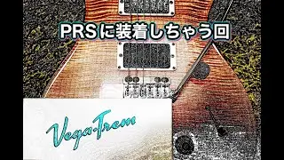 PRS Custom24 2012 10TOP BONNIE PINK с Vega Trem