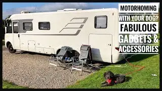 Travelling with your Dog?- Fabulous Gadgets & Accessories.
