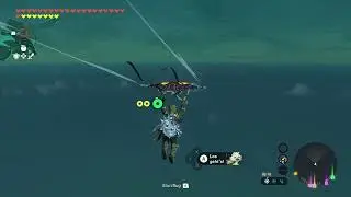 Zelda Tears of the Kingdom Play