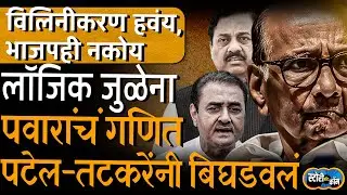 Praful Patel Tatkare नी गणित बिघडवलं, विलिनीकरण हवंय पण लॉजिक जुळेना | Story Dot Com | Sharad Pawar