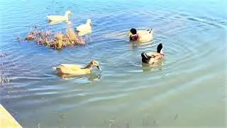 lago Sassano speriamo che YouTube lo carichi in HDR