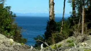 Isla San Pedro