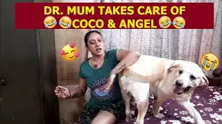 DR. MUM TAKES CARE OF COCO & ANGEL & THEIR MEDICATION😍| BUT IT'S NOT EASY😲| WATCH WHAT HAPPENS NEXT🤣