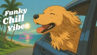 Funky Roadtrip Vibes 🚗🐶 Chill Beats for a Good Day | Kazeno Melody