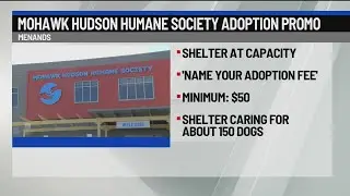 Mohawk Hudson Humane Society adoption promo