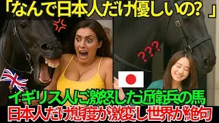 【海外の反応】なぜ日本人のマナーは特別なのか？バッキンガム宮殿の近衛兵の馬が見た、心温まる感動する話【英国王室も賞賛】
