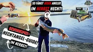 Hecht-Guide im Herbst 🎣 | Hechtangeln im Herbst | Beste Hechtk&ouml;der Barschk&ouml;der| Nays | Westin