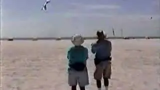 4 Line Kite Demo AKA 2000
