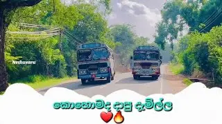 තව ටිකෙන් විනාසයි 😲🔥 | Sri lanka | Bus culture | Modified Bus | Bus race | 🔥❤