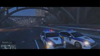 [GTA5 LSPDFR]  KOREA POLICE CAR CHASE
