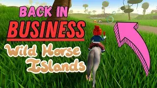 Is having a *PRIVATE* server worth it? Wild Horse Islands / Roblox