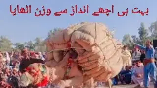 camel #weightlifting in# Pakistan# male #14 بوریاں