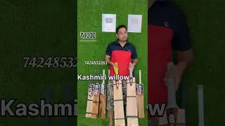 Best cricket bats under 1000| best tennis bats | tennis bats | Kashmiri willow bats