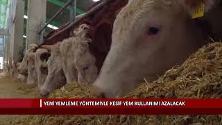 Yeni yemleme y&ouml;ntemiyle kesif yem kullanımı azalacak