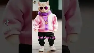 Pink dress cat#shorts#youtubeshorts