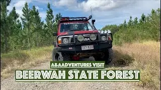 Queensland Adventure - Beerwah State Forest