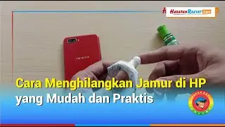 Cara Menghilangkan Jamur di HP yang Mudah dan Praktis