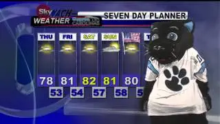 Sir Purr gives the forecast!