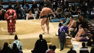 Adventures in Kansai: Sumo