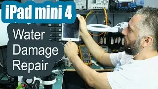 iPad mini 4 fell in Bathtub. Liquid Damage Repair. Customer requested Expedited service