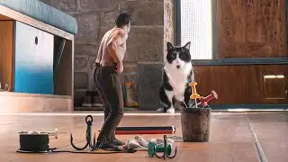 His Body Shrank Overnight Causing The Cat and Insects to Start Hunting Him, movie recaps