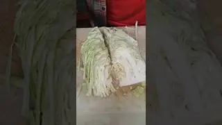 বাঁধাকপি কাটার ASMR কৌশল 🤩 6 | Cabbage 🥬 cutting ASMR art 🔪 #cutsofknife3468