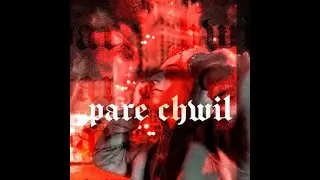 WRZECION - PARĘ CHWIL (slowed + reverb + 8D)