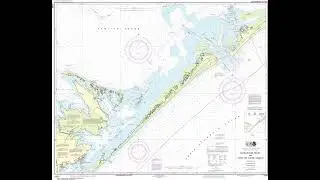King Fish Shoal 8